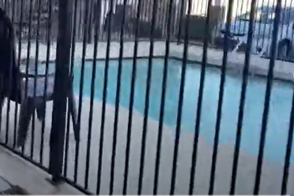 Pool fencing with a black fence in Australia